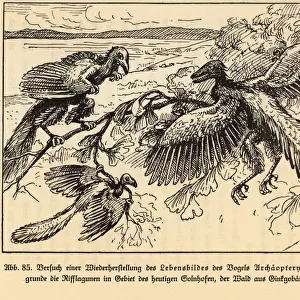 Reconstruction of extinct Archaeopteryx birds in a