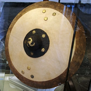 Reconstruction of a medieval shield