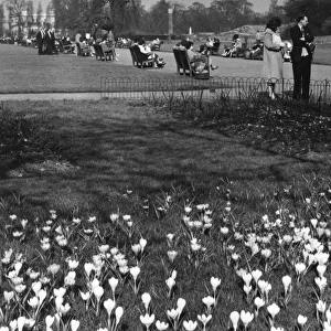 Regents Park 1950S