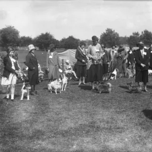 Regents Park Dog Show