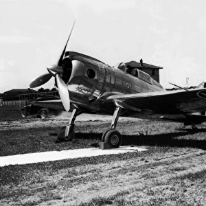Reggiane Re2000 Falco Srs 3 -This Italian fighter was a