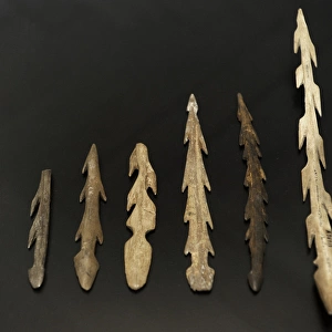 Reindeer antler harpoons. 9500 BC