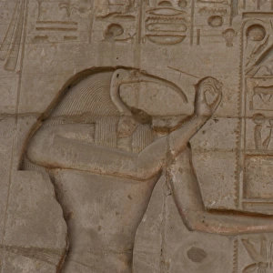 Relief depicting the god Thoth. Ramesseum. Egypt