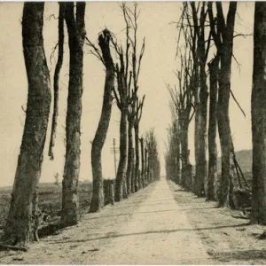 Reninghelst-Clytte, Belgium, WW1