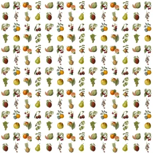 Assorted Fruit Repeating Pattern Print Assorted Fruit Repeating Pattern Print
