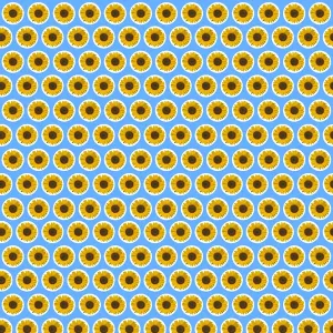 Blue Background Sunflower Repeating Pattern Print Blue Background Sunflower Repeating Pattern Print
