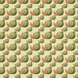 Watermelon Repeating Pattern Print Watermelon Repeating Pattern Print