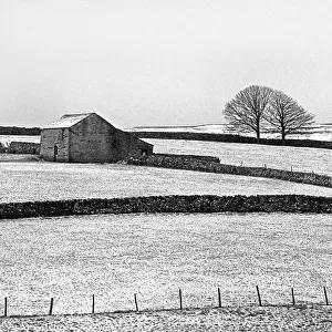 Ribble Valley, winter - 02