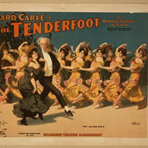 Richard Carle in The tenderfoot an operatic comedy in 3 acts