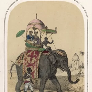 Riding Elephant / Lassalle