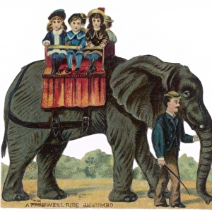 Riding Elephant - Scrap