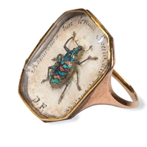 Ring with a weevil set in