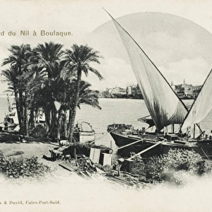 The River Nile at Boulaque