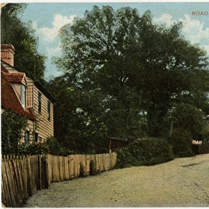 The road at Little Baddow, Essex