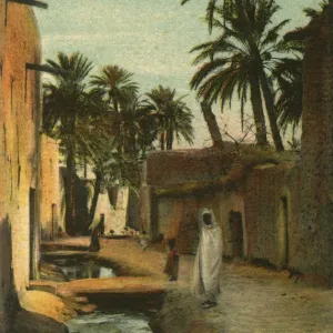 A road in Old Biskra. With date palms