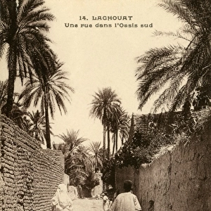 A road in the south of the Oasis, Laghouat