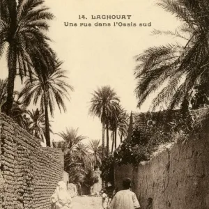 A road in the south of the Oasis, Laghouat