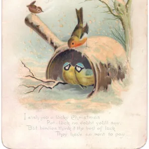 Robin, two blue tits and wren on a Christmas card