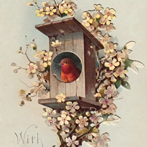Robin in a nesting box on a greetings card
