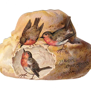 Robins with bread on a loaf-shaped Christmas card