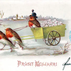 Robins with a cart on a German New Year postcard