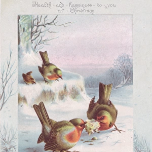 Robins on a Christmas card