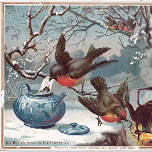 Robins on a New Year card