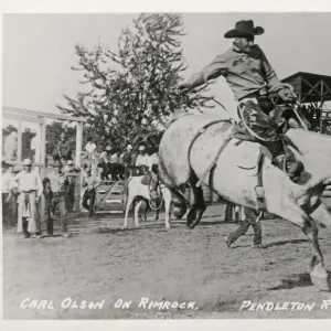 Rodeo - Carl Olson on Rimrock - Pendleton Round-up