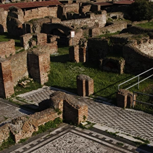 Roman Art. Italy. Ostia Antica. House of Bacchus and Ariadne
