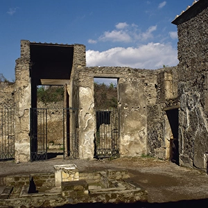 Roman art. Italy. Pompeii. House of Octavius Quartio Atrium