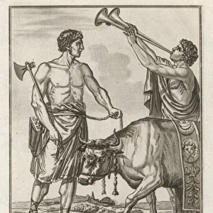 Roman Bull Sacrificed