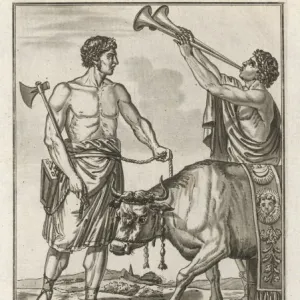 Roman Bull Sacrificed