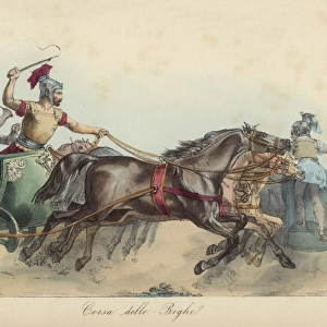 Roman Chariot Race