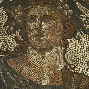 Roman floor mosaic. Antonine Period. Alemdar (Istanbul)