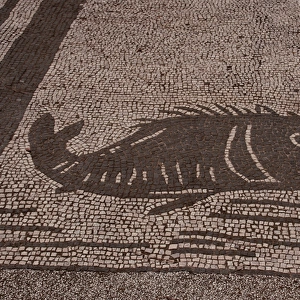 Roman mosaic. Fish. Ostia Antica. Italy