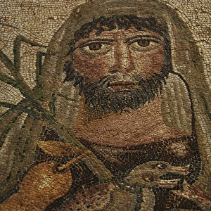 Roman Mosaic floor. Argos. Greece