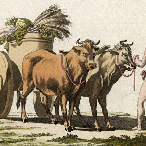 Roman Ox-Cart