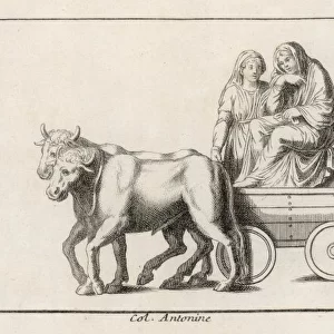 Roman Ox Wagon