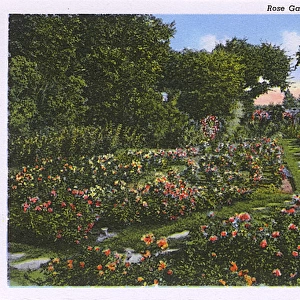 Rose Garden, Antelope Park, Lincoln, Nebraska, USA