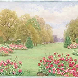 Rose Gardens, Kew Gardens