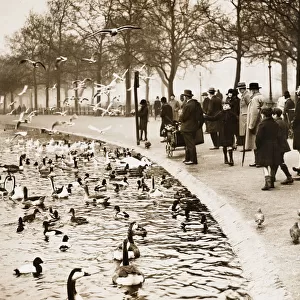Round Pond 1927