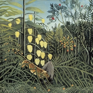 Rousseau, Henri (1844-1910). In a Tropical Forest