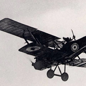 Royal Aircraft Factory reconnaissance bomber RE 8
