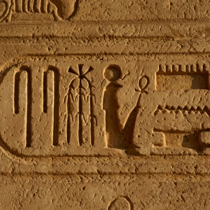 Royal protocol of Ramses II. Cartridge