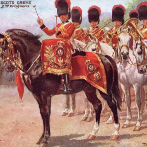 The Royal Scots Greys - 2nd Dragoons