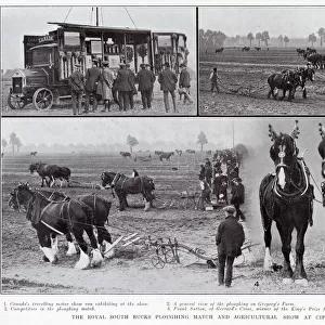 The Royal South Bucks ploughing match and agricultural show at Cippenham, 1913. 1