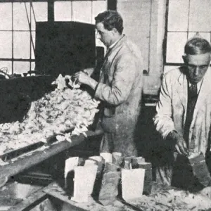 Royal Wedding 1934 - making rose petals Royal Wedding 1934 - making rose petals