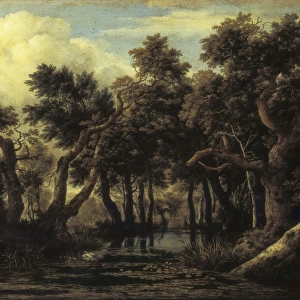 Ruisdael, Jacob van (1628-1682). The Marsh. Baroque