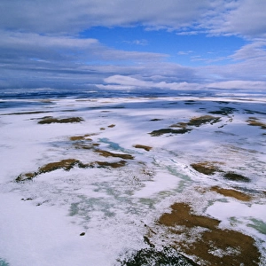 RUSSIA - Arctic tundra, melting snows, tundra of