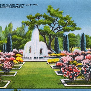 Sacramento, California, USA, William Land Park - Rose Garden